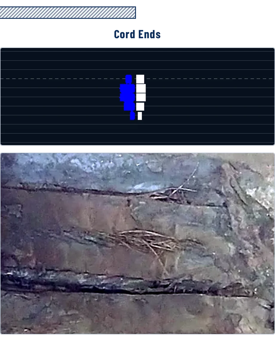 Belt Scanner signature of cord ends, above a photograph of the matching cord condition.