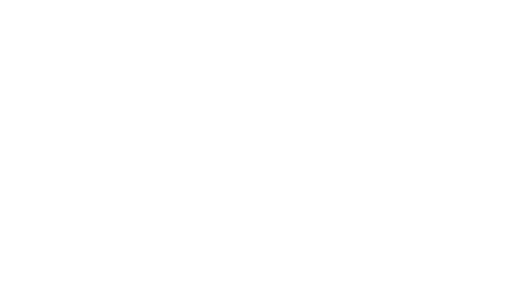 Beltscan Systems