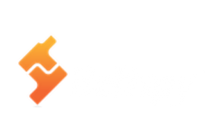 BeltSpy