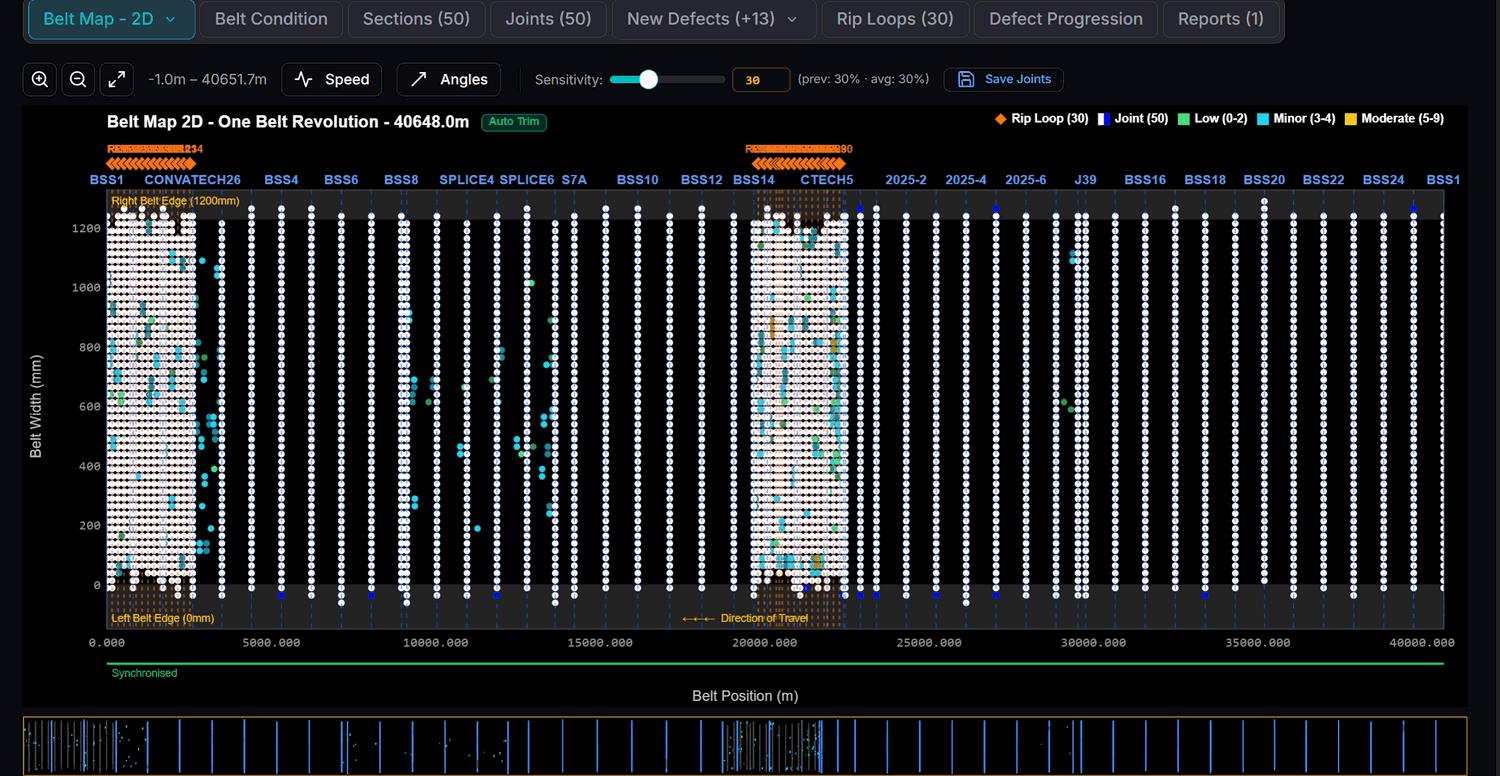 Online portal &mdash; full belt map for one complete belt revolution with defects and joints plotted